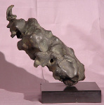 1960 um rhino 03 kl
