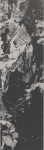 1957 um Collage JD kl